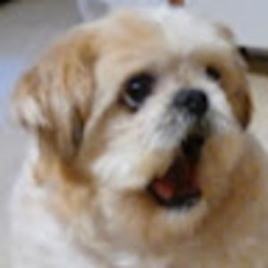 Meet your Posher, Wiley